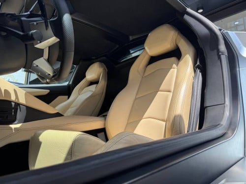 Lamborghini Aventador Roadster 50th Anniversary Arab Spec