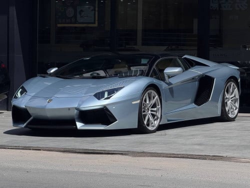 Lamborghini Aventador Roadster 50th Anniversary Arab Spec