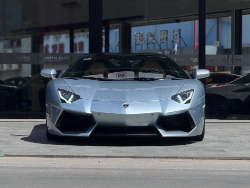 Lamborghini Aventador Roadster 50th Anniversary Arab Spec