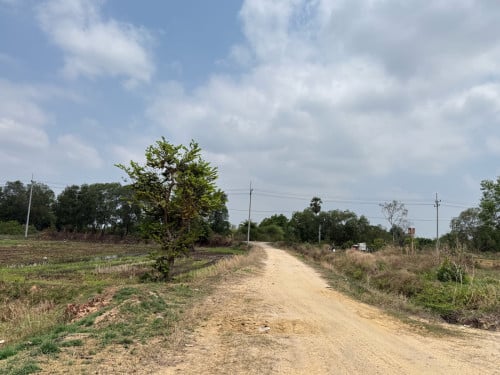 Land