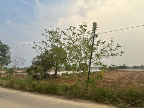 ដីក្រោយផ្សារភូពុយ​ នៅលេីផ្លូវប៉េតុង