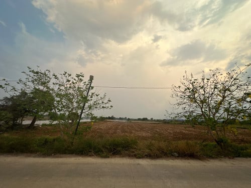 ដីក្រោយផ្សារភូពុយ​ នៅលេីផ្លូវប៉េតុង
