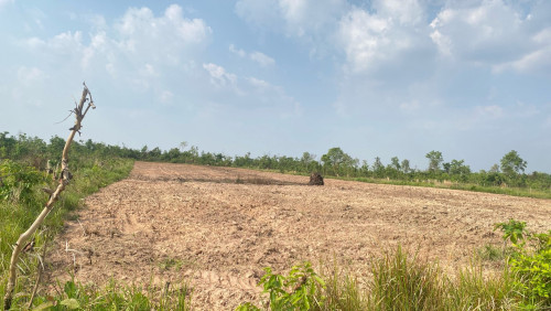 ដីលក់តម្លៃល្អ