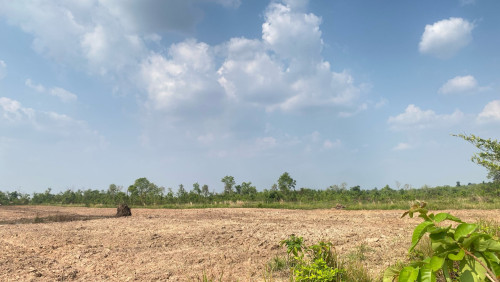 ដីលក់តម្លៃល្អ