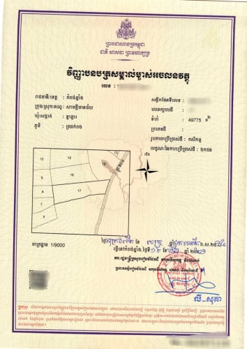 តម្លៃពិសេសក្រោមទីផ្សារ
