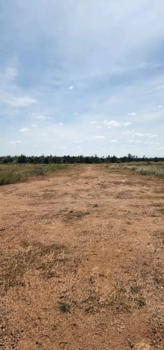 តម្លៃពិសេសក្រោមទីផ្សារ