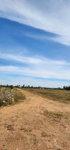 តម្លៃពិសេសក្រោមទីផ្សារ