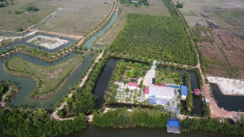 ដីលក់ ៧៨ ហិចតា​ (ព្រៃនប់ ព្រះសីហនុ) （中文）