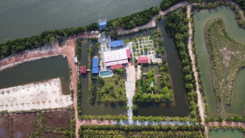 ដីលក់ ៧៨ ហិចតា​ (ព្រៃនប់ ព្រះសីហនុ) （中文）