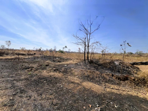 🏦Land Available for Urgent Sale at a Special Price (Negotiable).