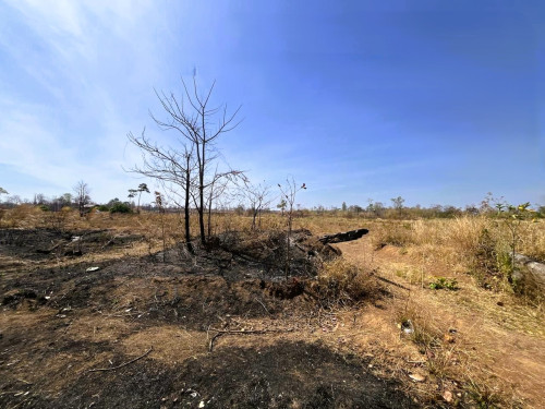 🏦Land Available for Urgent Sale at a Special Price (Negotiable).