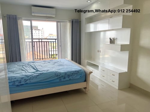 Furnished Elevator Condo for Rent