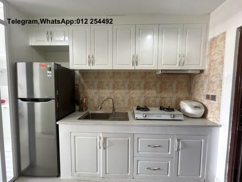 Furnished Elevator Condo for Rent