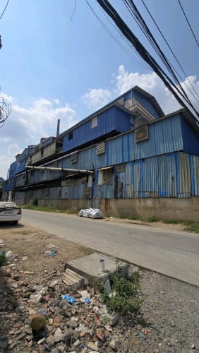 House for rent