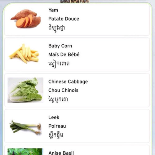 ទទួលផ្គត់ផ្គងតាមគេហដ្ឋាន បន្លែ ផ្លែឈើនិងសាច់គ្រឿងទេស ទទួលស្គាល់ពីមន្ទីពិសោធន៍ថ្មី