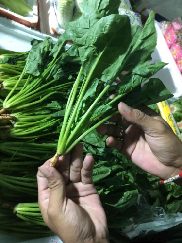 ទទួលផ្គត់ផ្គងតាមគេហដ្ឋាន បន្លែ ផ្លែឈើនិងសាច់គ្រឿងទេស ទទួលស្គាល់ពីមន្ទីពិសោធន៍ថ្មី