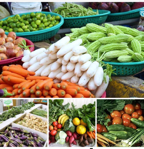 ទទួលផ្គត់ផ្គងតាមគេហដ្ឋាន បន្លែ ផ្លែឈើនិងសាច់គ្រឿងទេស ទទួលស្គាល់ពីមន្ទីពិសោធន៍ថ្មី