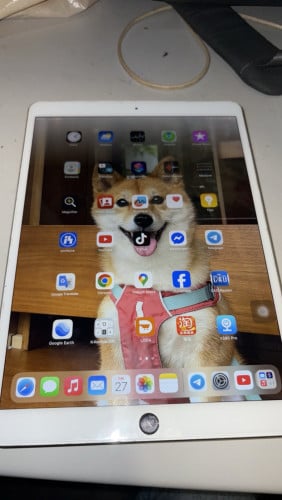 លក់ iPad Pro (10.5-inch)