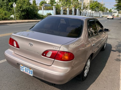 Corrola 2000