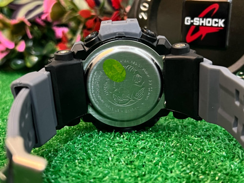 G-Shock Rangeman Ibspired