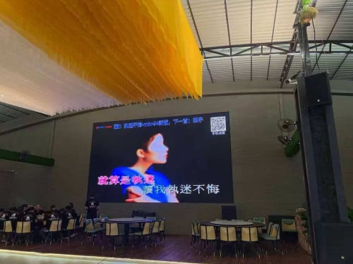 Indoor LED Screen for Sale