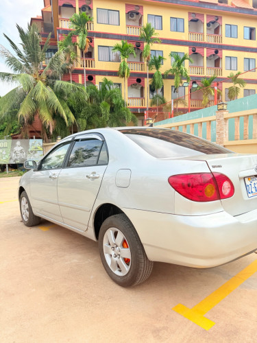 Toyota Corolla 2003 LE ធានាឡានស្អាត