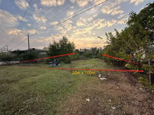 ដីលក់ 待售土地 20m x 100m