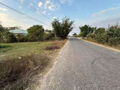 ដីលក់ 待售土地 20m x 100m