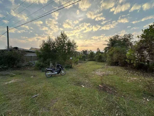 ដីលក់ 待售土地 20m x 100m