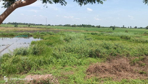 ដីនៅភូមិព្រែក ក្មេង សង្កាត់ ព្រែកក្មេង ក្រុងអរិយក្សត្រ/Land for Sale Located in Areiyasat Area