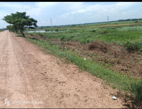 ដីនៅភូមិព្រែក ក្មេង សង្កាត់ ព្រែកក្មេង ក្រុងអរិយក្សត្រ/Land for Sale Located in Areiyasat Area