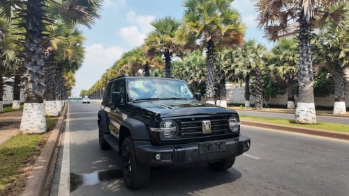 🚙 2025 GWM Tank 300 (Black) – For Sale
