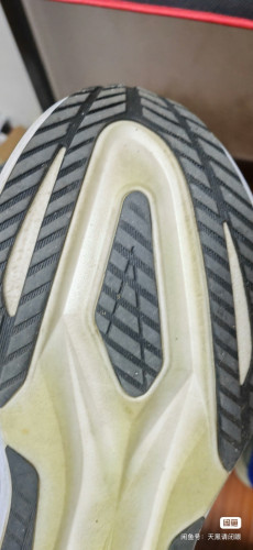 ASIC megablast 43.5