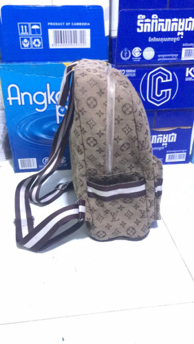 Fashion Louis Vuitton bag