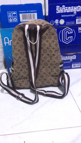 Fashion Louis Vuitton bag