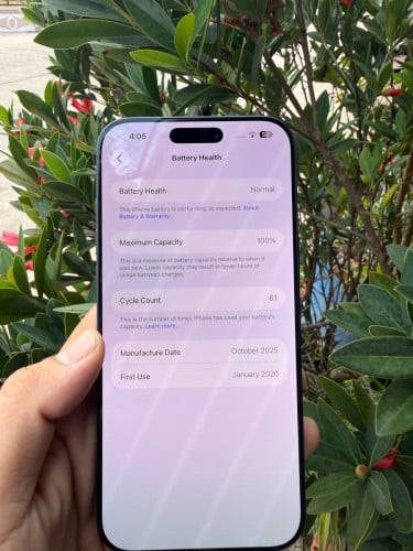 iPhone 17 pm ខៀវ X/A 256G ថ្ម100% ស្អាត99% សំនុំហ្សុីនណែន