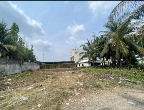 ចង់លក់ដីមិនកាតថ្លៃ
