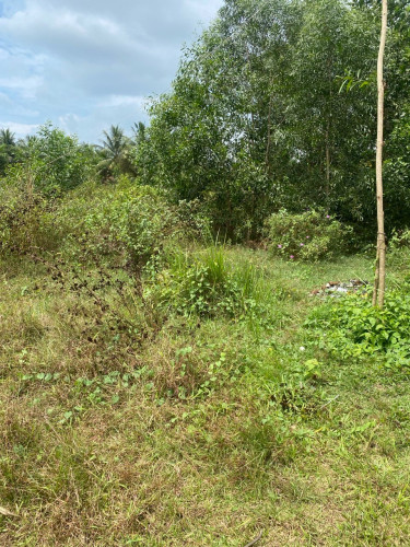 Land for sell