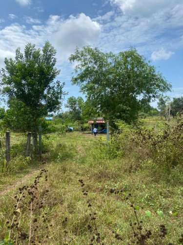 Land for sell