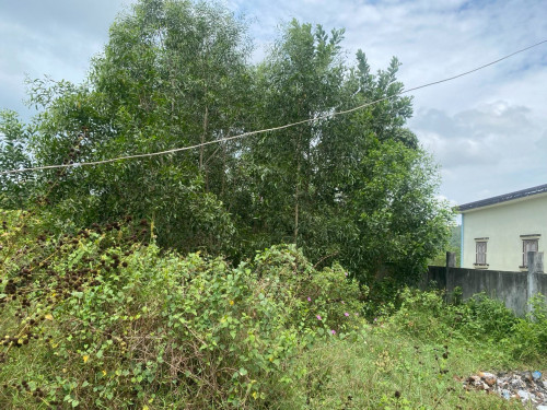 Land for sell
