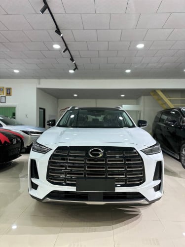 Model 2025 GAC GS4 Option max