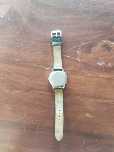 Seiko Titanium
