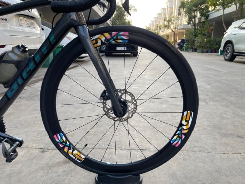 Giant TCR advanced disc 1+ pro