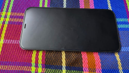 iPhone 12 Pro Max