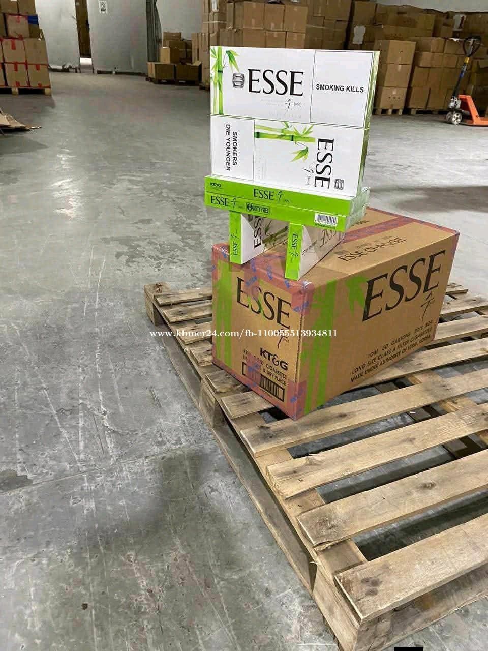 EsSE ស្លឹកឬស្សី