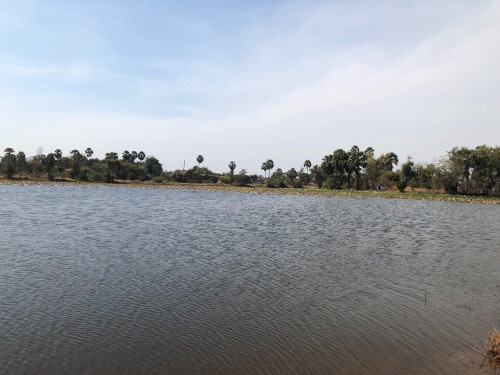 ដីលក់នៅជិតរោងចក្រជាប់ផ្លូវធំ
