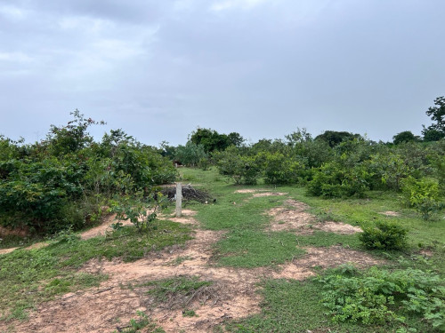 ដីភូមិលក់