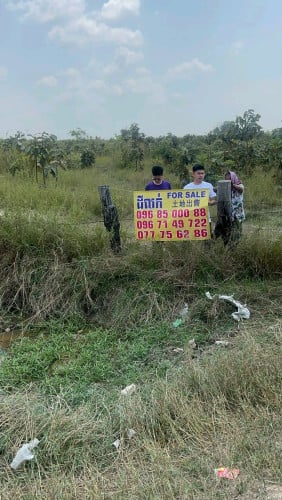 ដីជួល ល្អខ្លាំងសម្រាប់ខាងកសិកម្ម