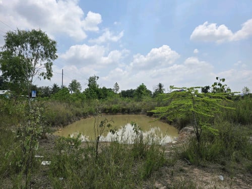 ដីជួល ល្អខ្លាំងសម្រាប់ខាងកសិកម្ម
