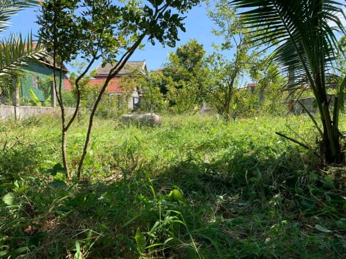 ផ្ទះជួល